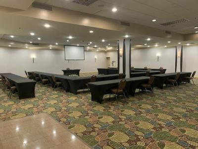 Holiday Inn Windsor - Ambassador Bridge - 48