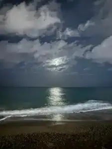 AQI Pegasos World - 43