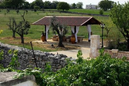Masseria Peppeturro - 15