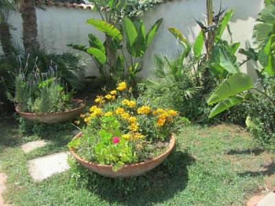 Sole E Sale B&B - 1