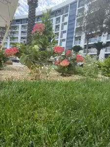 Zenith Resort & SPA - 44