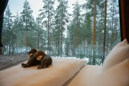 & Spa Resort Järvisydän - 22