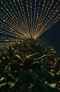 Russian Seasons Apart-Peresvet - 28