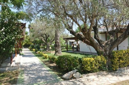 Villaggio Borgo degli Ulivi - 8