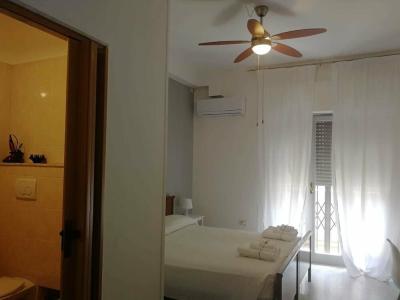 Gatto Bianco Picone 19 - 19