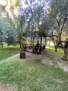 Orfeus Queen Spa - 30