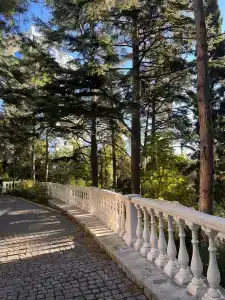 Zazerkalye Spa-Otel - 14