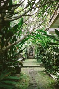 Honeymoon Guesthouse - 12