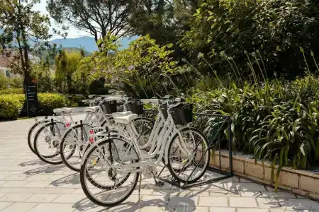 Lazure & Marina - 18