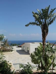 Blue Bay Resort - 21