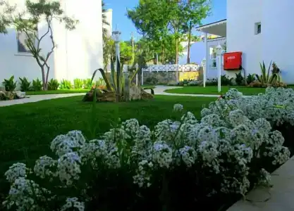 Canna Garden - Adults Only - 2