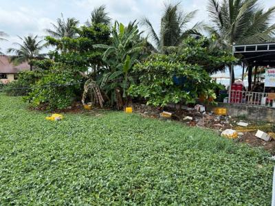 The May Phu Quoc - 39