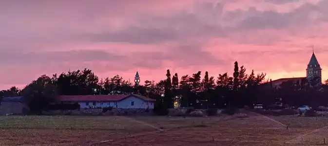 Asteria Bloom Side - 37