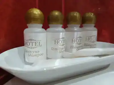 Tayozhnyij mini-hotel - 6