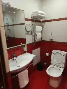 Tayozhnyij mini-hotel - 22