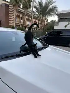 Astoria - All Inclusive - 25