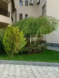 Multi Rest House - 3