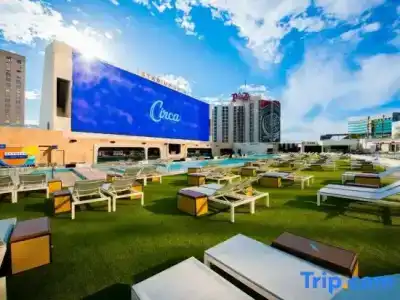 Circa Resort & Casino - Adults Only - 11