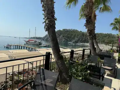 Robinson Camyuva - Adults Only - 79