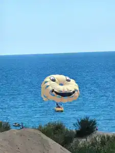 Asteria Bloom Side - 13