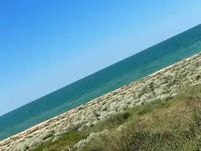 Белый Хутор - 54