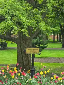 Парк-Замковый - 19