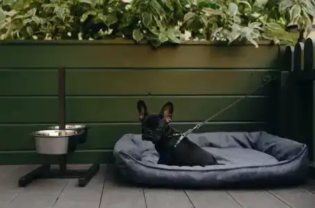 Butik-Otel Gimnaziya 5 - 14