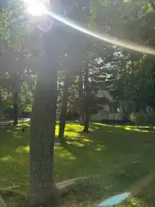 Champion Holiday Village - All Inclusive - 86