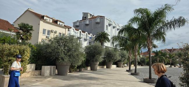 Palma - 26