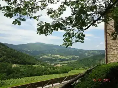 Fattoria Il Lago - 26