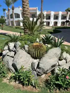 Sunrise Alma Bay Resort - 55