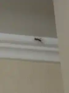 " Lesnaya skazka" Resort inn - 41