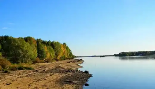 Lesnaya Skazka - 14
