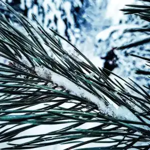 Urev Tourist base - 18