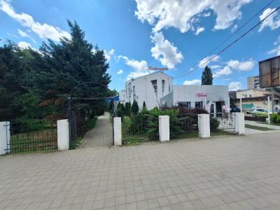 Александрия - 24