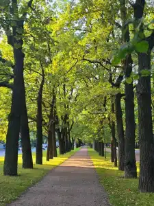 Tsar Palace Luxury & SPA - 49