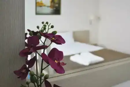 Business Continent - 40