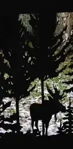 Gostevoj kompleks Tihij Les Recreation camp - 47