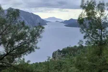 Swan Lake - Adult Only - 5