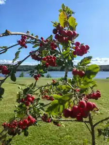 Spasskoe Park-Hotel - 43