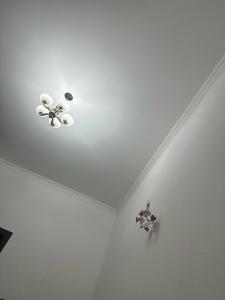 Grand Art Premium - 38