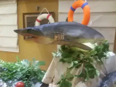 Orange County Kemer - 53