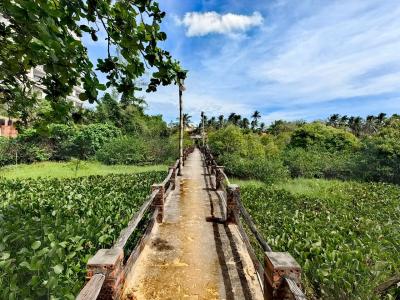 The May Phu Quoc - 10