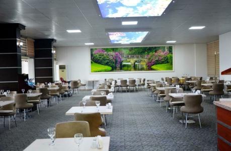 Garden Kale Thermal - 40