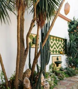 Mallorca Boutique - 10