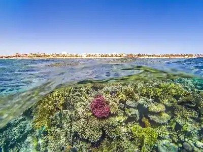 Kempinski Soma Bay - 22