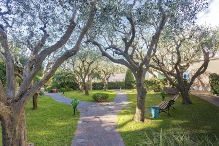 Terme Tritone Resort & Spa - 46