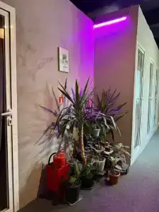 Shelterz Elektrozavodskaya - 26