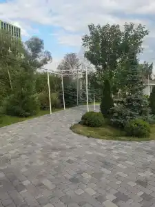 Регина Малые Клыки - 92