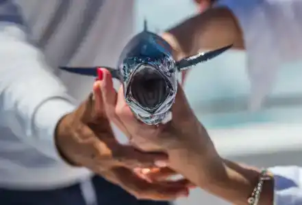 Savoy Seychelles Resort & Spa - 57